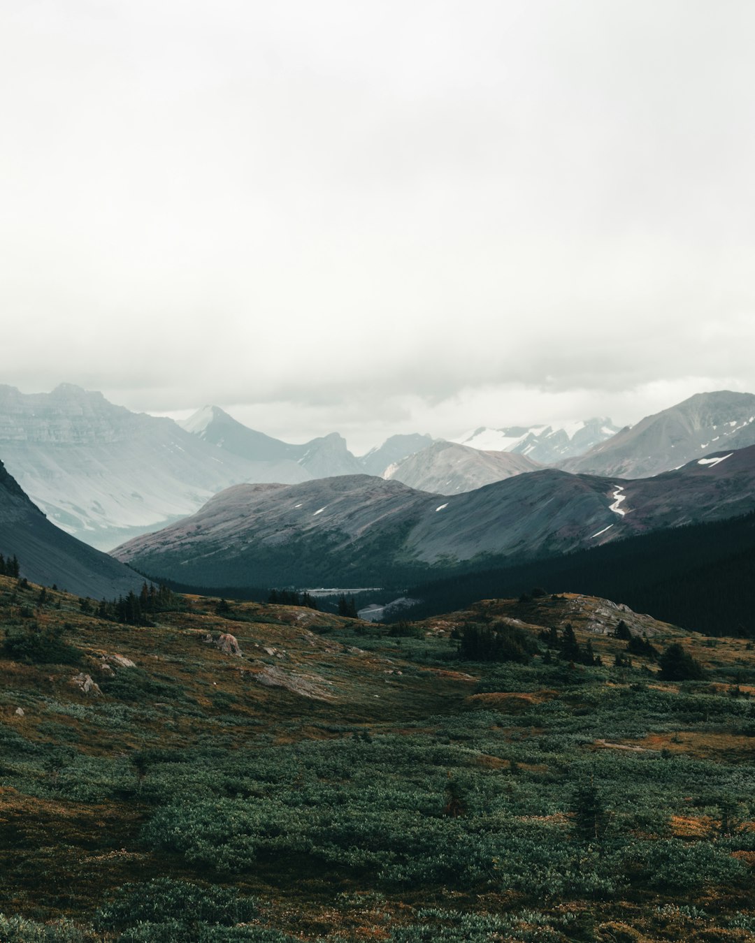 green grass field near snow covered mountains during daytime