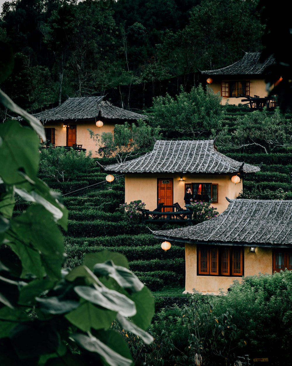 brown and black house surrounded by green plants