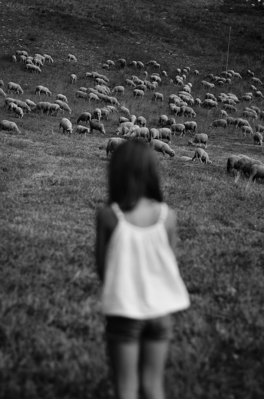 草原に立つ白いドレスの女の子