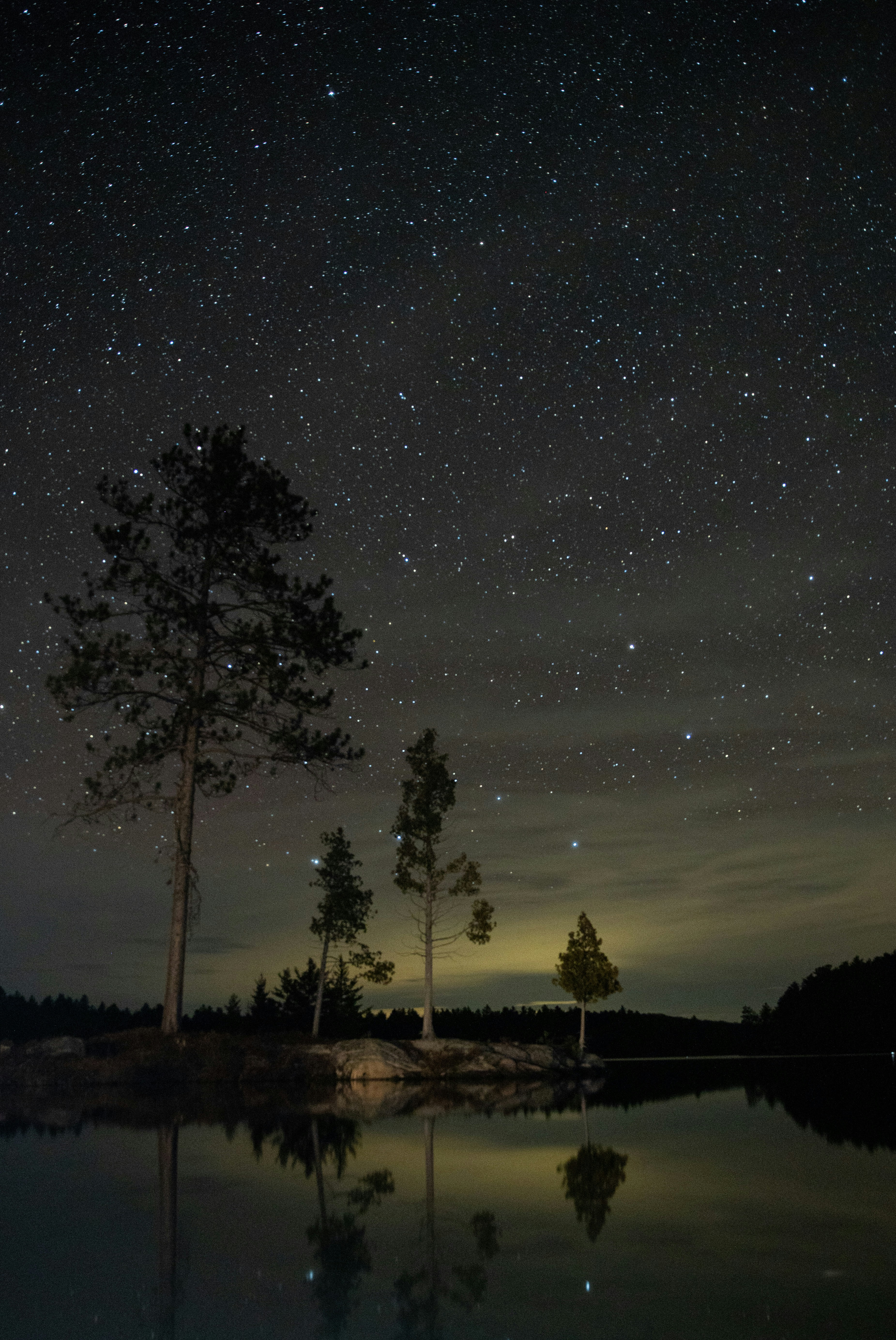 silhouette-of-trees-during-night-time