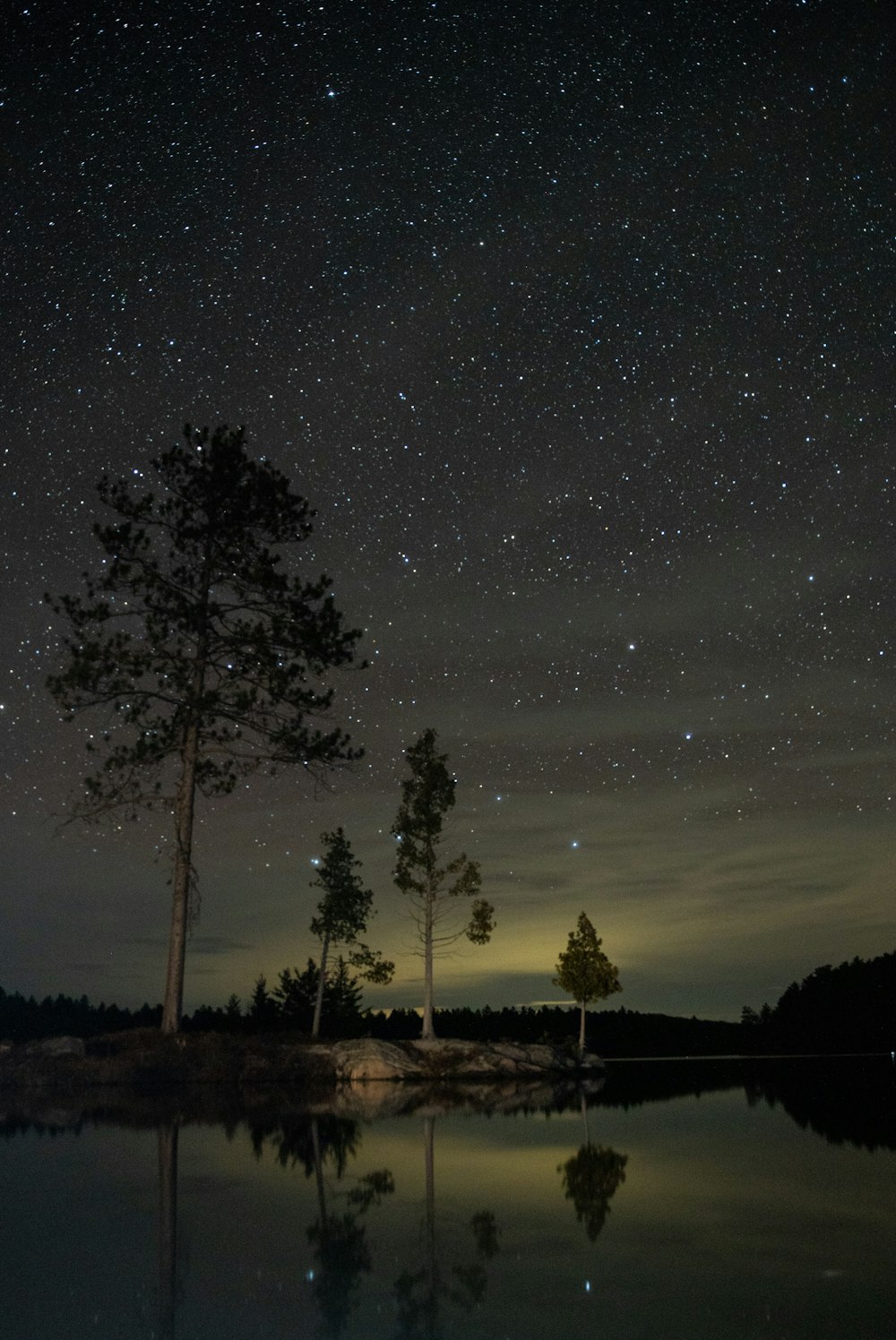 silhouette of trees during night time