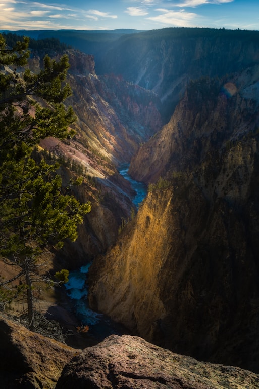 green trees on brown mountain during daytime
