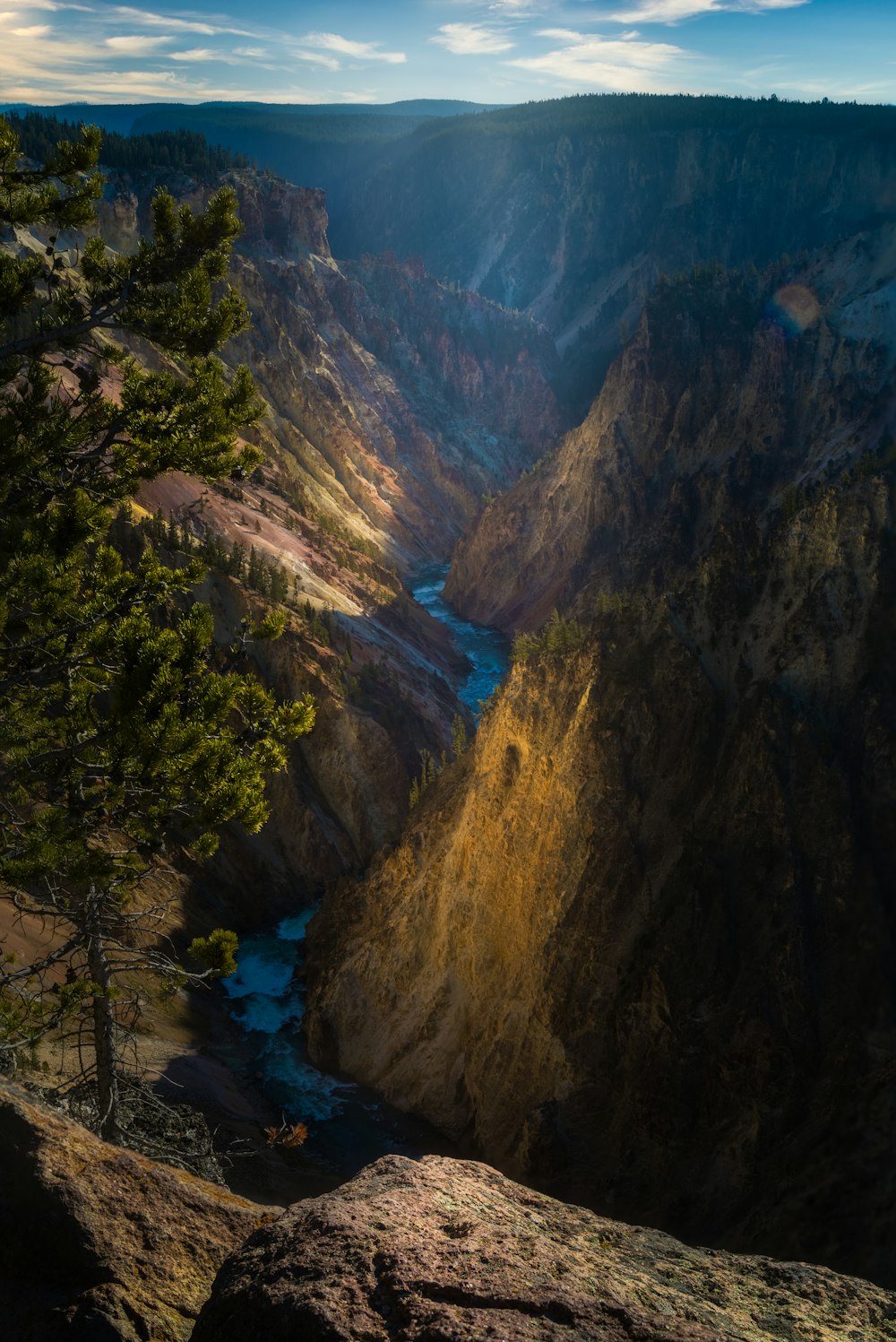 green trees on brown mountain during daytime