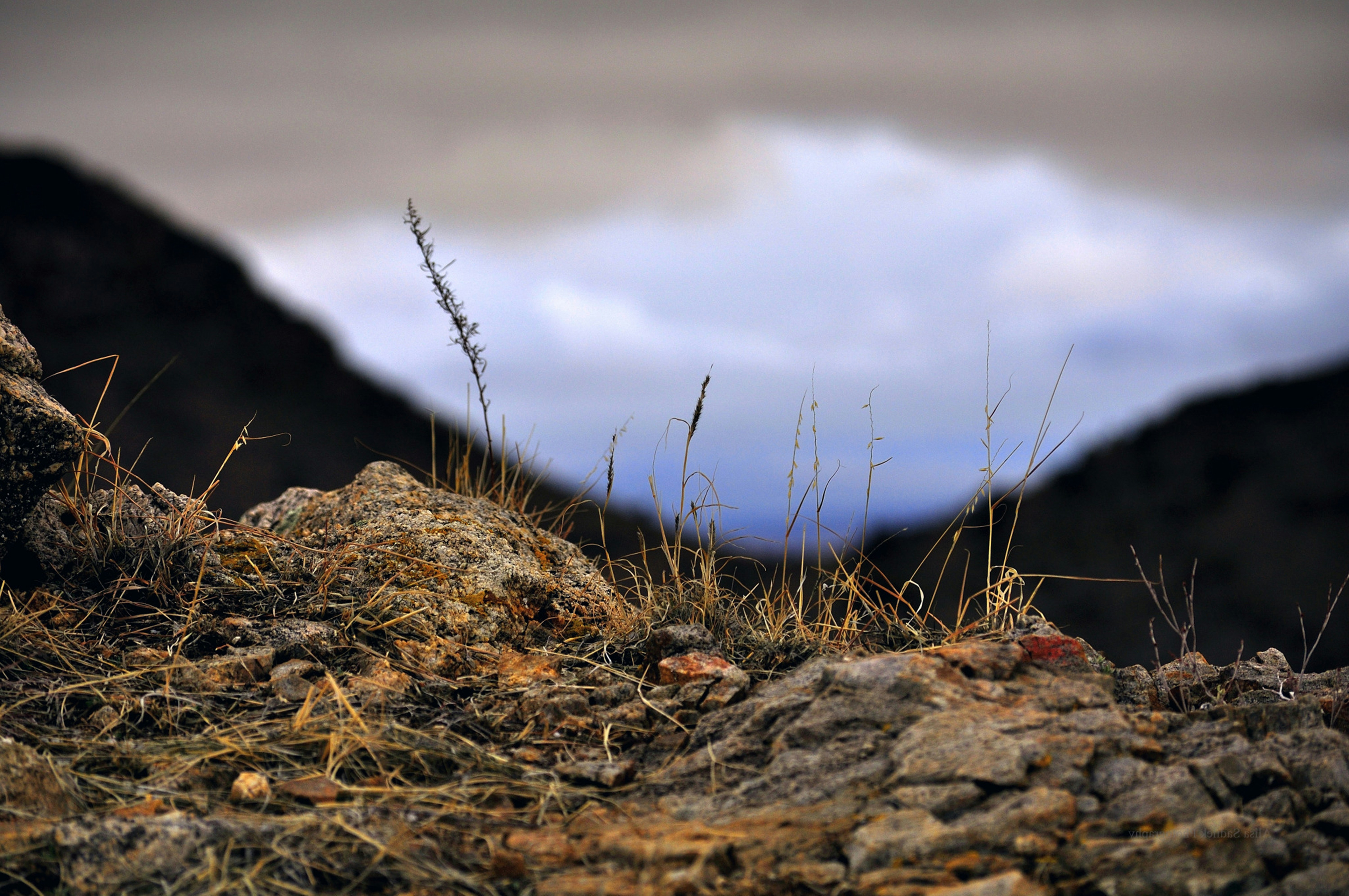Photo by kathyadahil