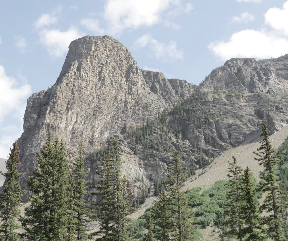 green trees near brown mountain under blue sky during daytime