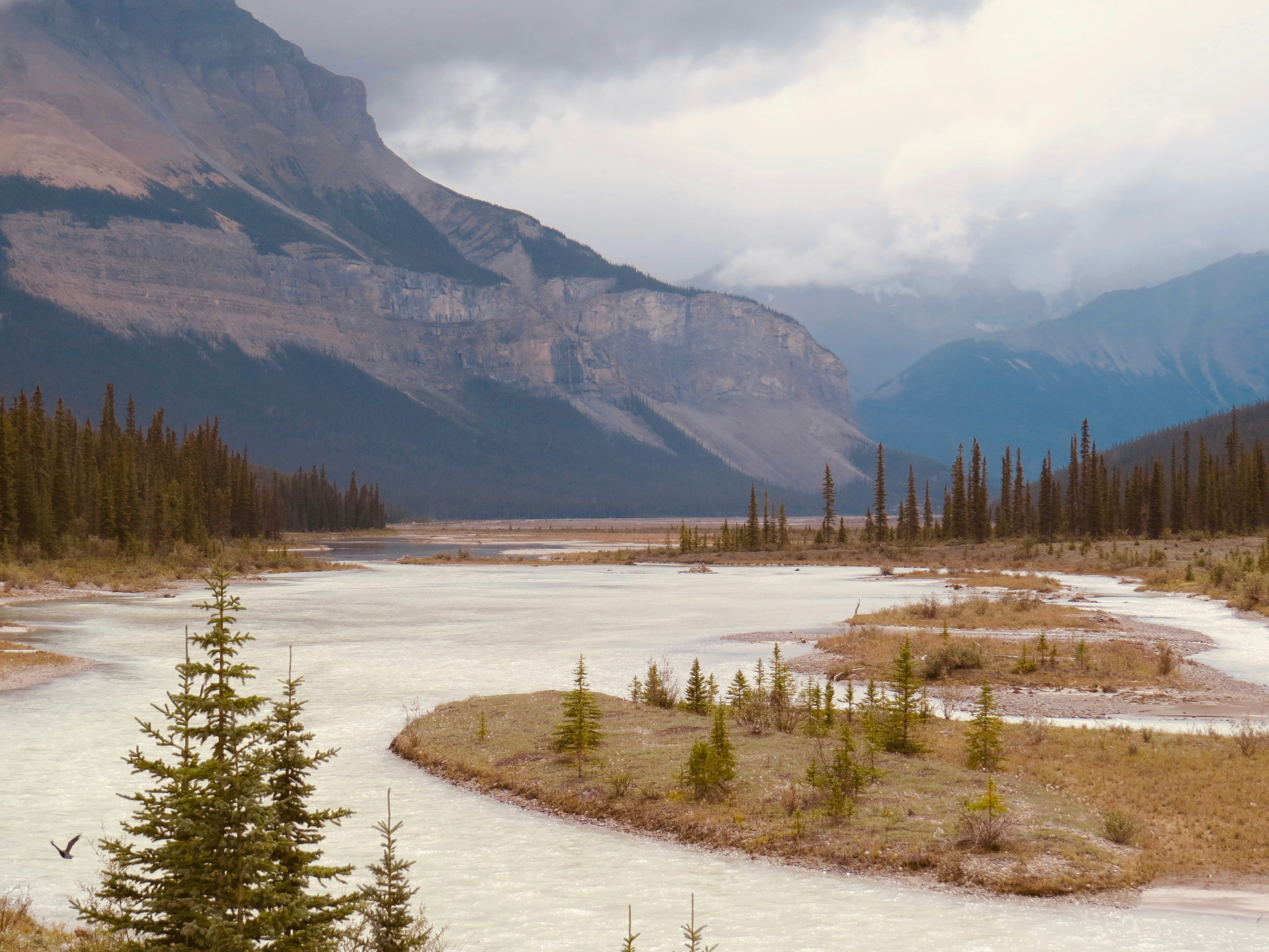 Photo by jaimedantas