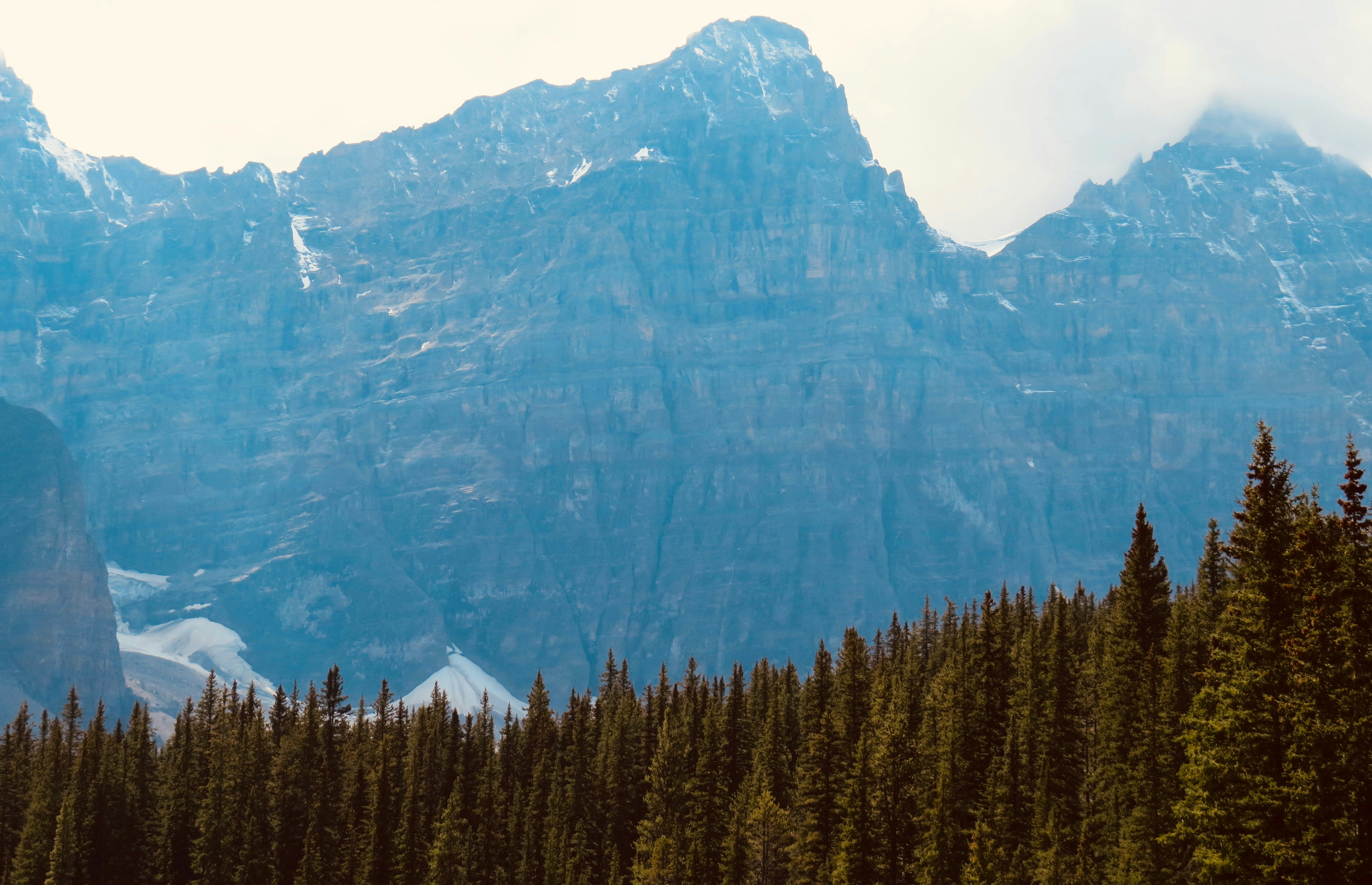 green pine trees near mountain during daytime, 