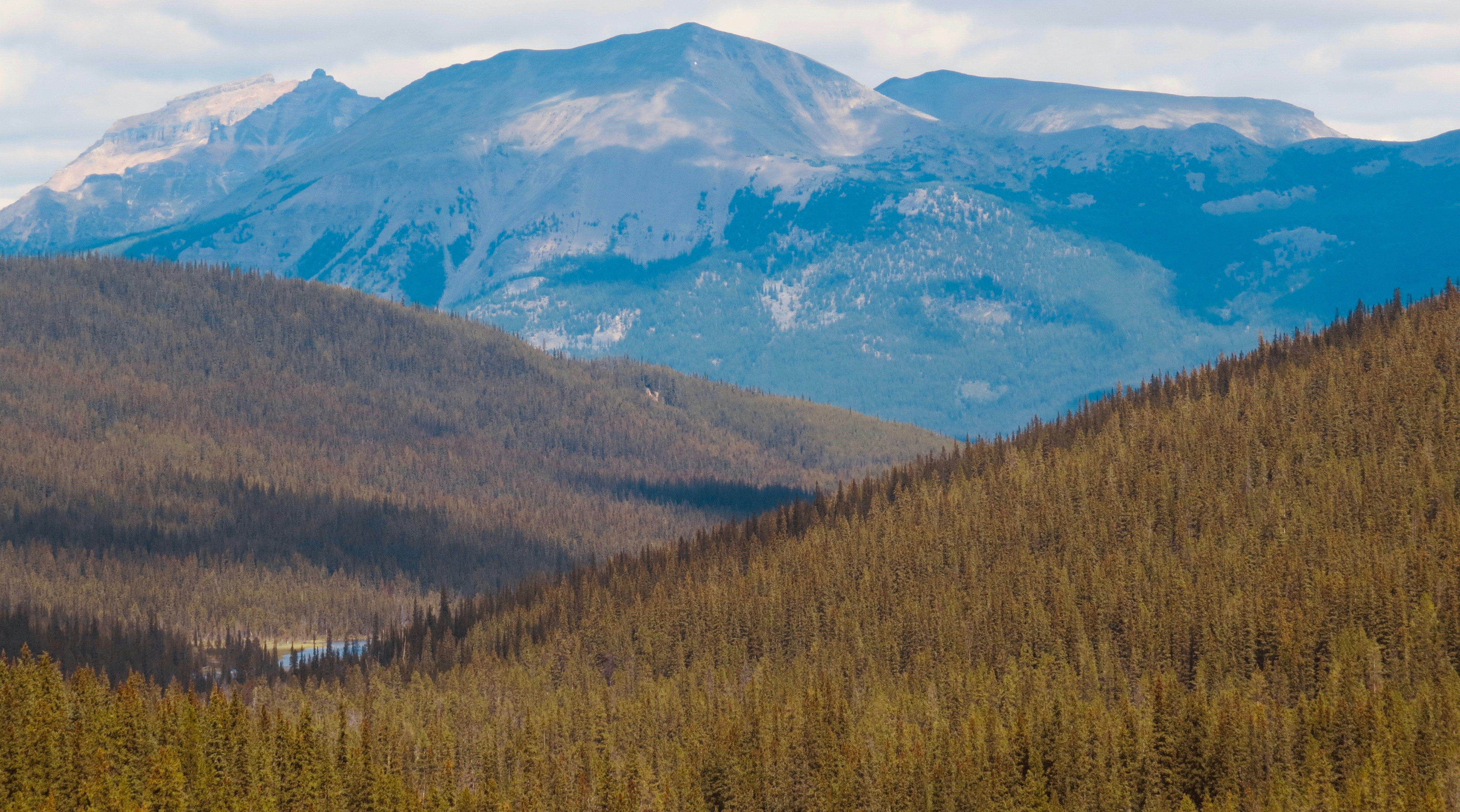 Photo by jaimedantas