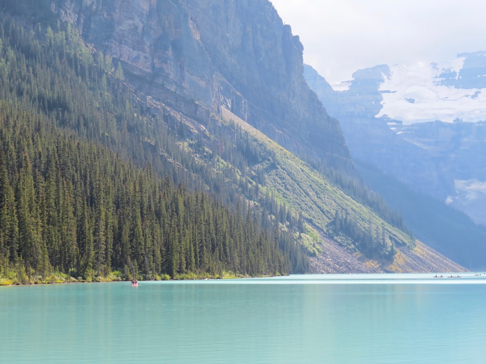 green trees on mountain beside body of water during daytime