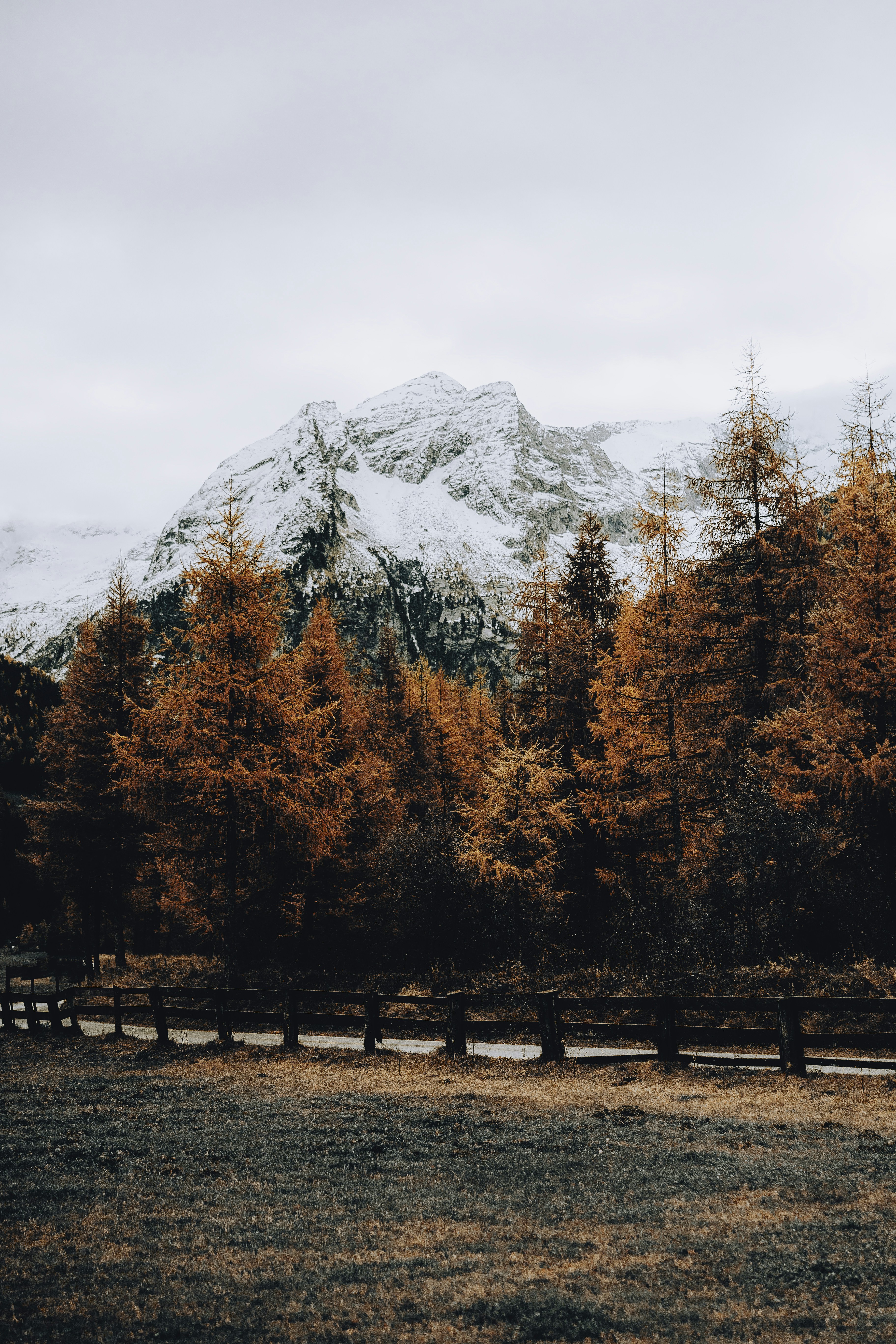 Brown and green trees near mountain under white clouds during daytime ...