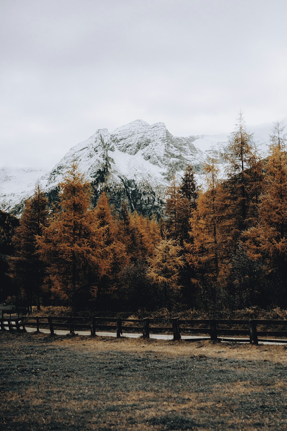 brown and green trees near mountain under white clouds during daytime