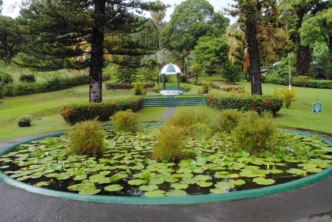 Tropische Bäume und Blüten in den 1765 gegründeten Botanic Gardens von Kingstown