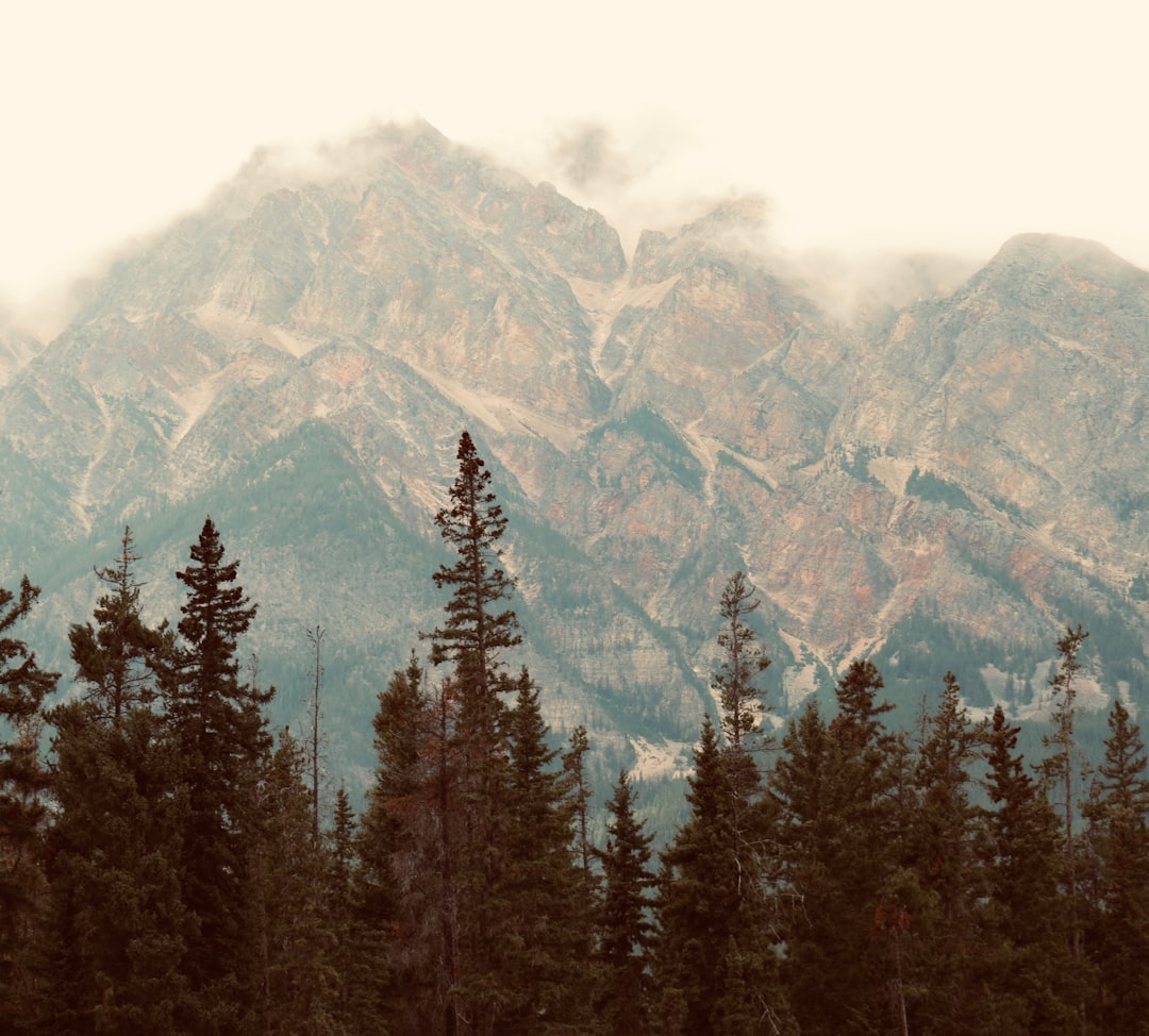 7 Hidden Gems for First-Time Hikers in Banff National Park - Sundan… — 7 Hidden Gems for First-Time Hikers