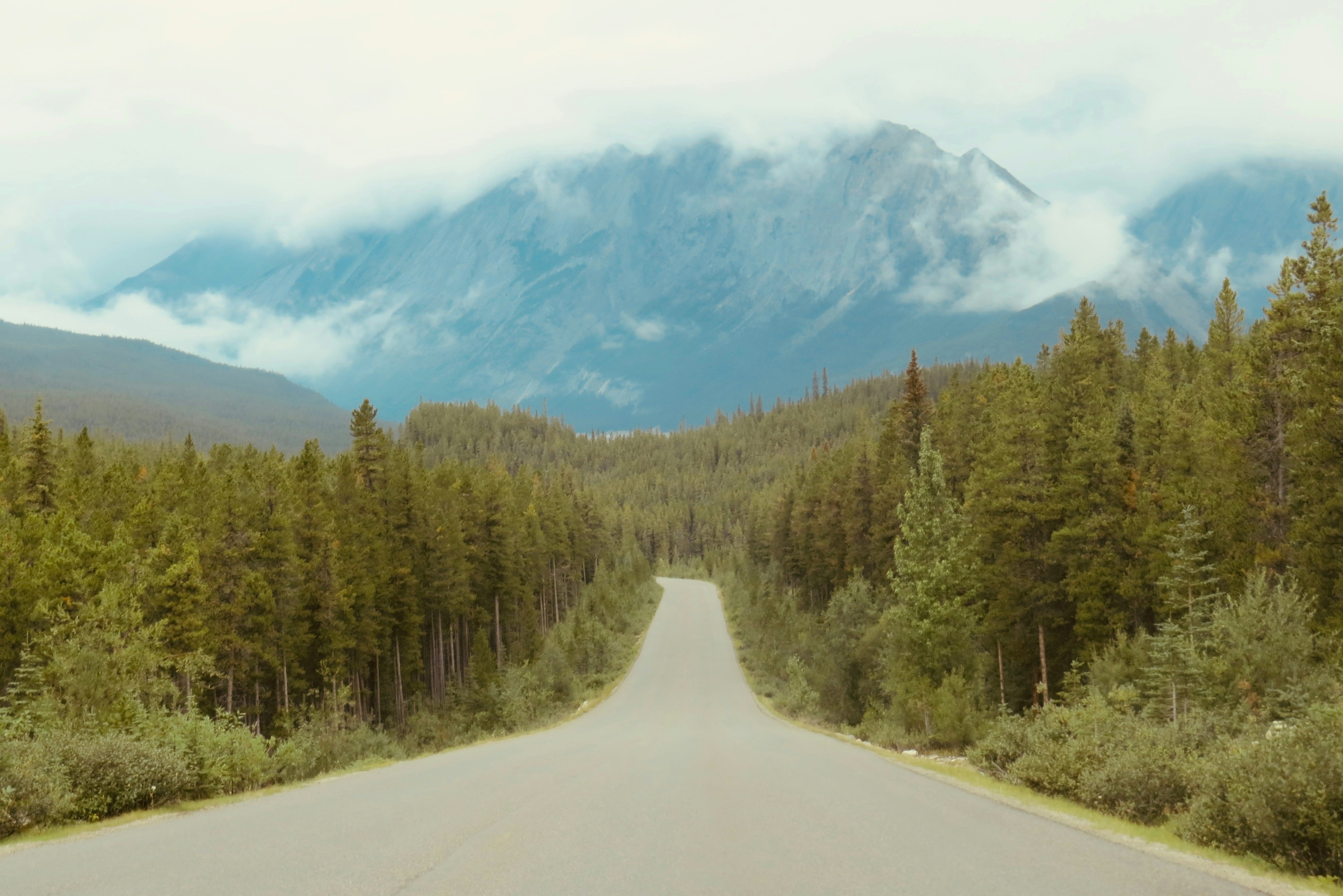 Photo by jaimedantas