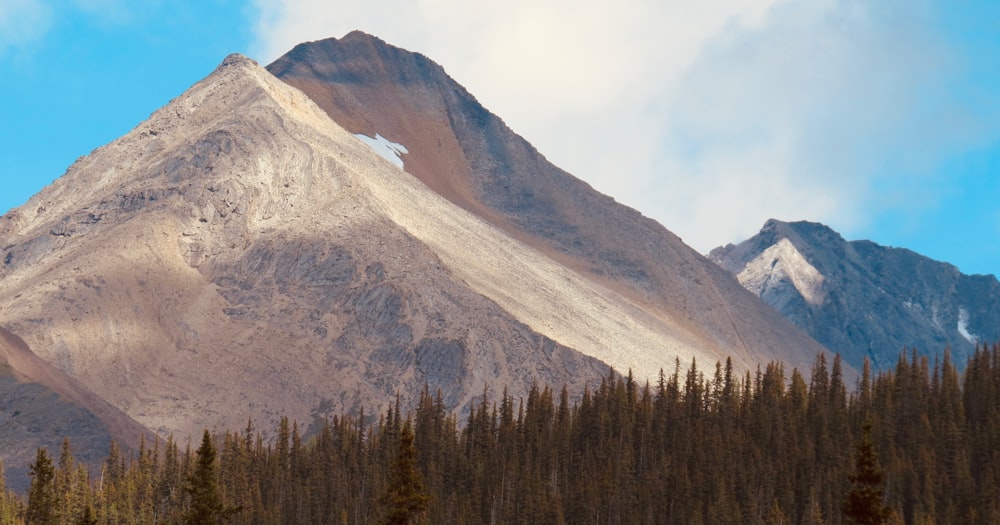 green trees near mountain under blue sky during daytime