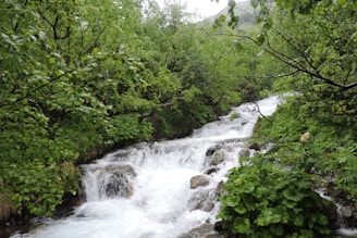 A serene scene of natural water and fresh fruits symbolizing holistic health.