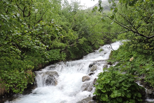 A serene scene of natural water and fresh fruits symbolizing holistic health.
