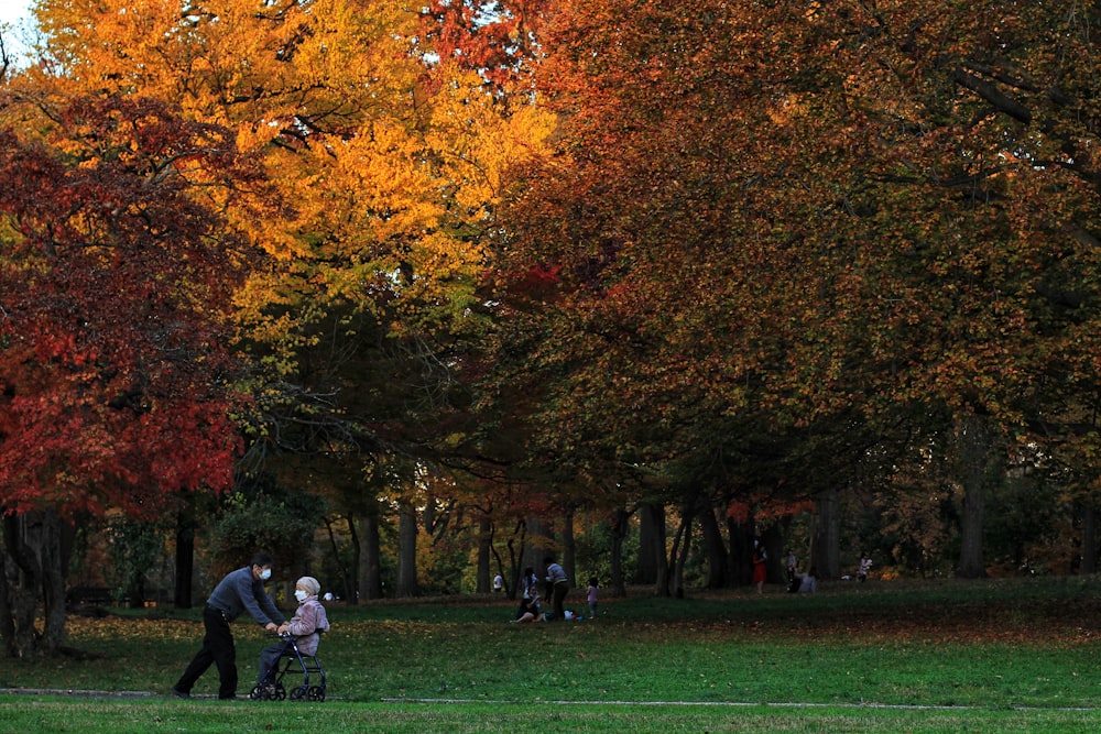 people walking on green grass field near trees during daytime