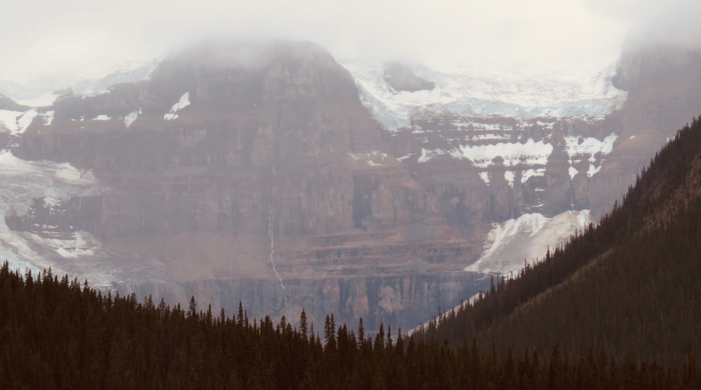 green trees on mountain during daytime