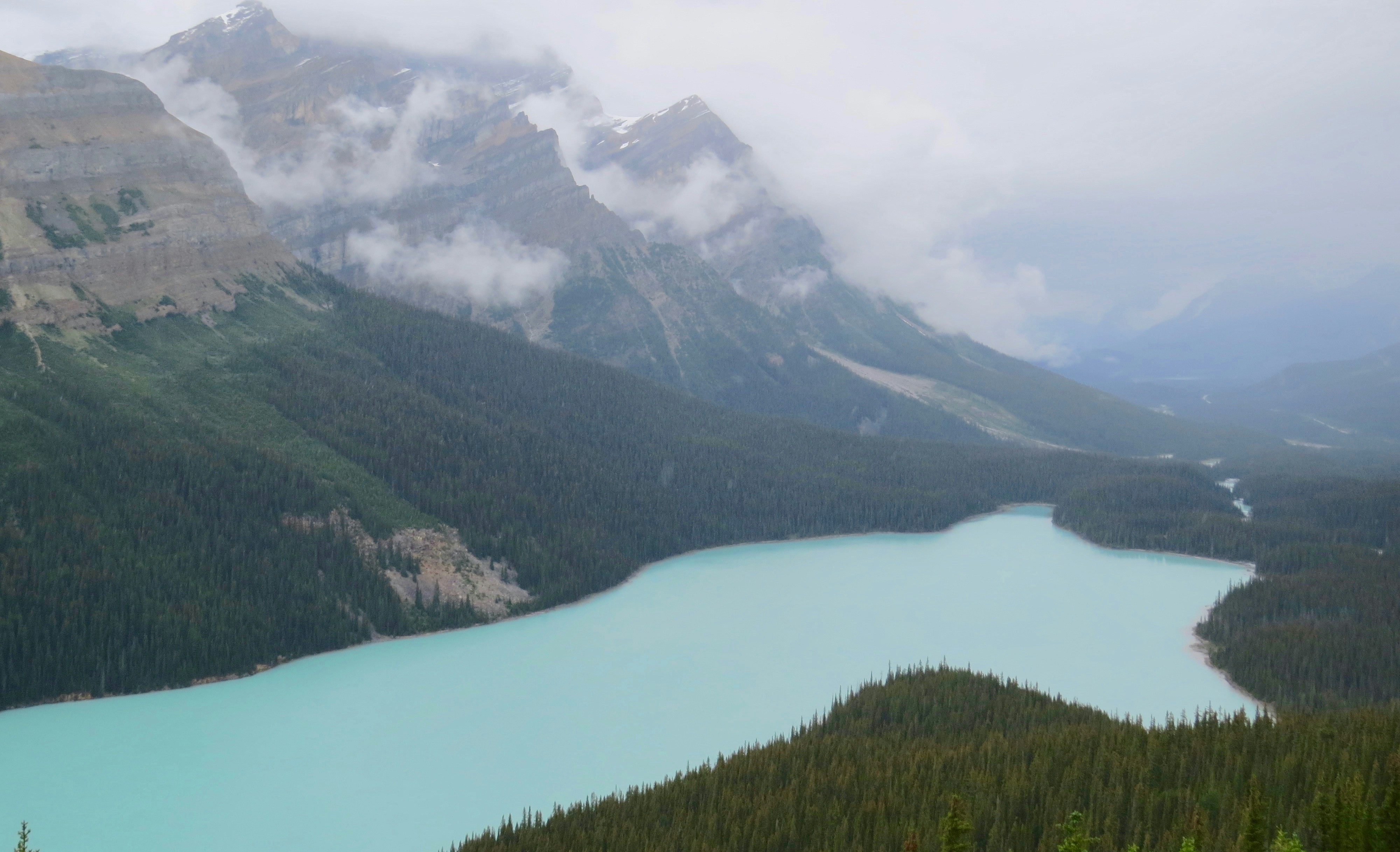 Photo by jaimedantas