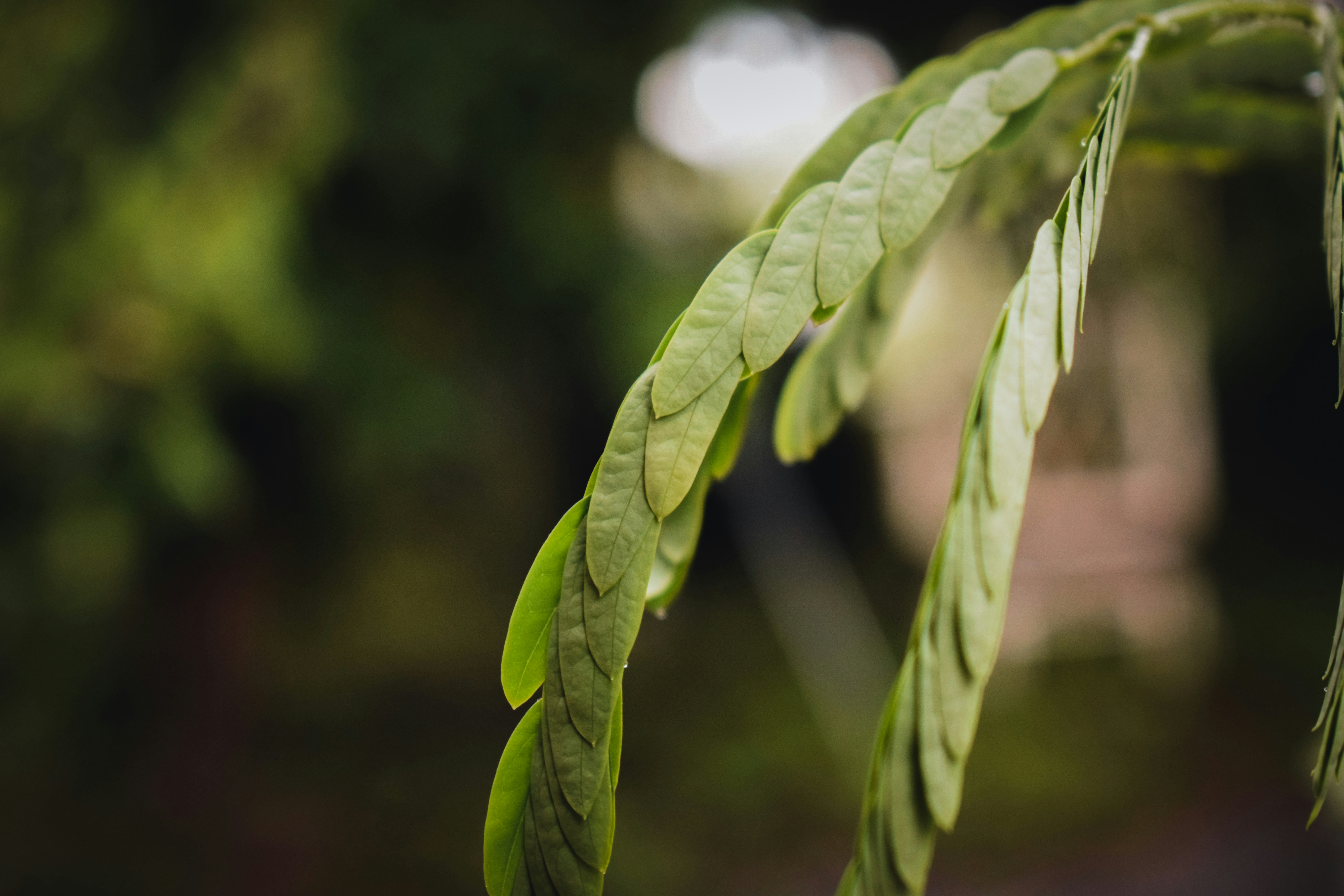 Photo by longlivehaas