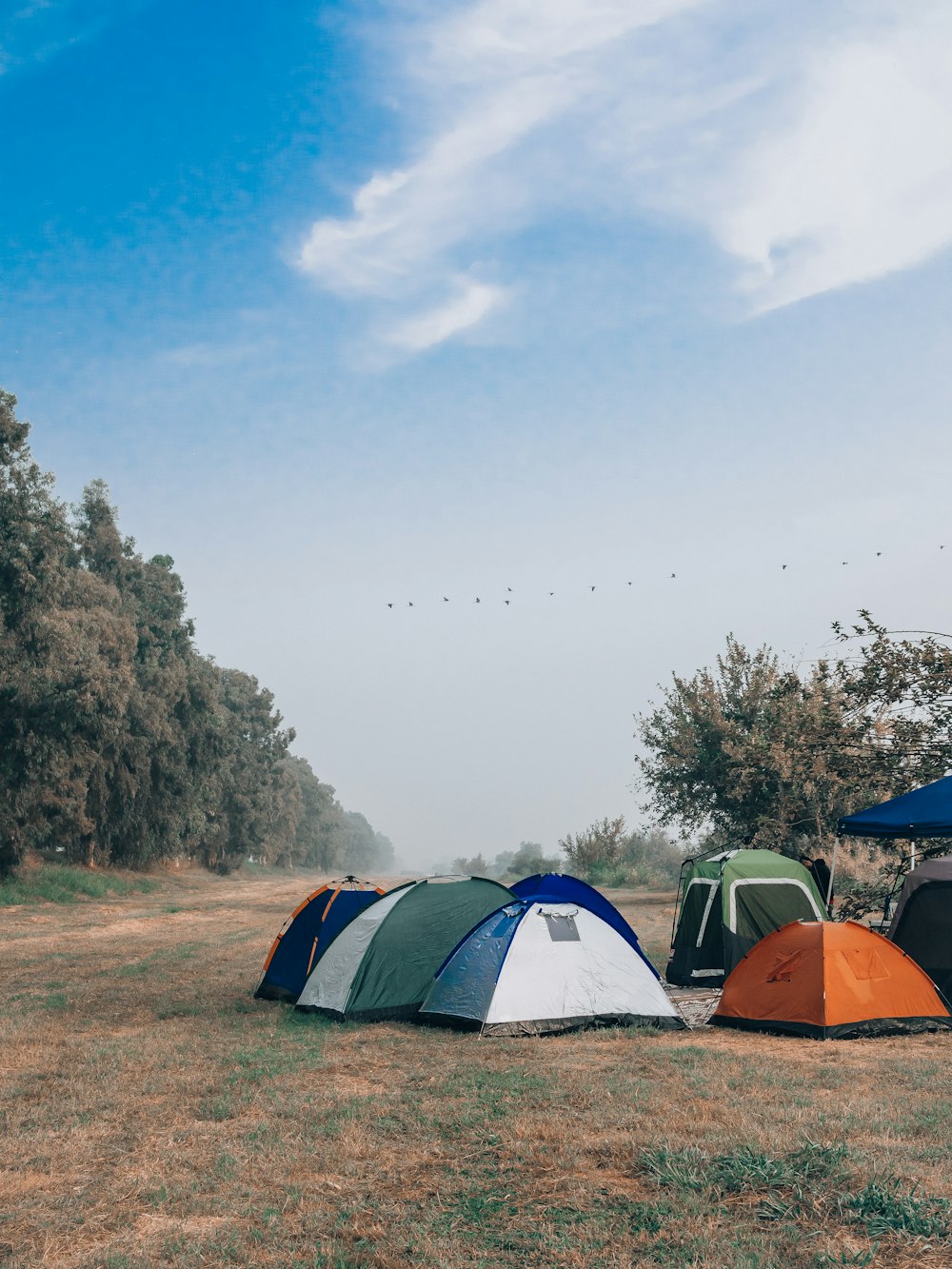 tenda verde e gialla sul campo di erba verde durante il giorno