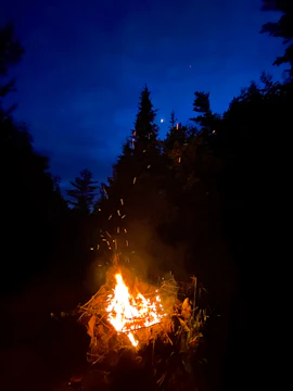 A crackling campfire glowing warmly against a dark forest backdrop under a starry night.