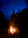 Campfire glowing warmly in a Finnish forest clearing under a starry sky.