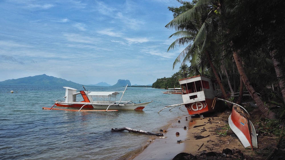 red and white boat on beach during daytime