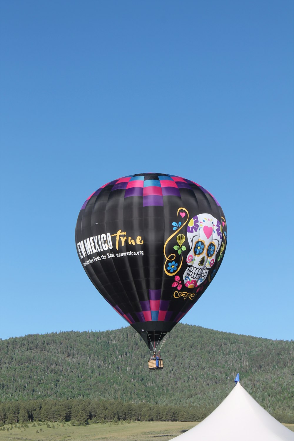hot air balloon in mid air during daytime