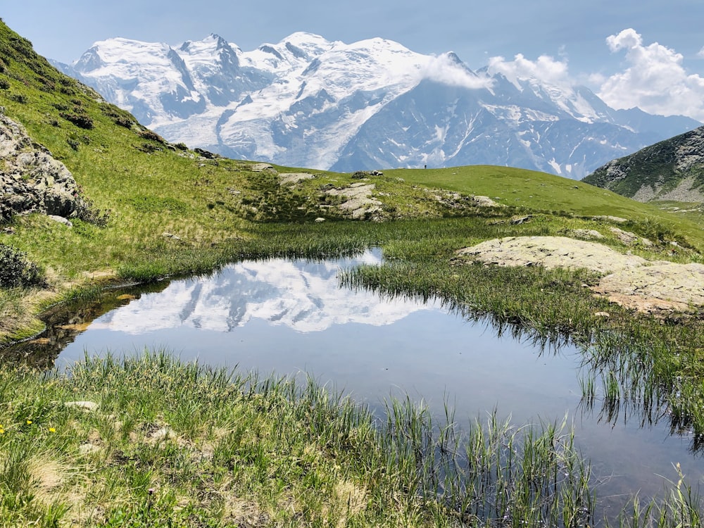 green grass field and snow covered mountains during daytime