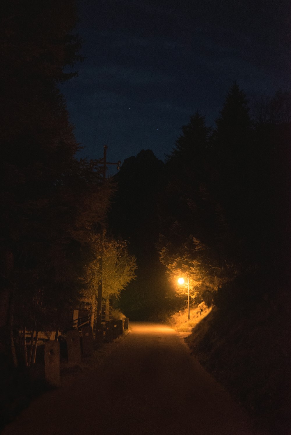 lighted street lamp near trees during night time
