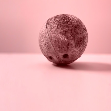 A single, rough-textured nut with small holes is placed on a smooth, light pink surface. The image is minimalistic with a clean and clear composition.