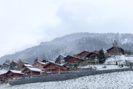 Wooden chalets scattered across a snowy hillside with a backdrop of pine-covered mountains. The scene is tranquil with a light dusting of snow on the roofs and ground, creating a serene winter atmosphere. Sparse trees and evergreen shrubs are visible, adding touches of green against the white snow.