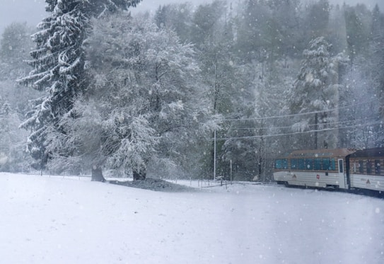 A snowy landscape with a train passing through a forest of snow-covered trees. The ground and trees are blanketed in white, creating a serene winter scene.
