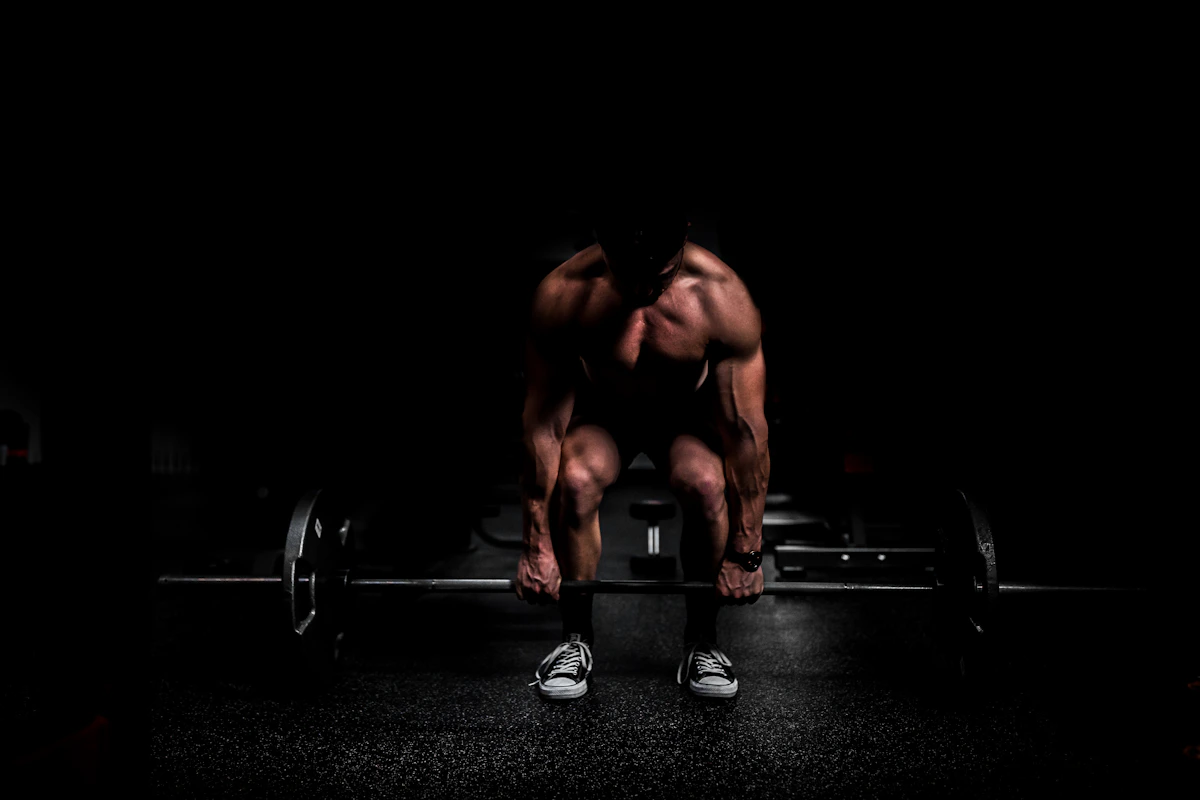 Barbell and plates in a strength training zone