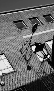 An artistic frame showing a dynamic contrast of gray and copper hues highlighting a historic building.