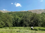 Technician installing fiber optic cables in a rural area with green fields.