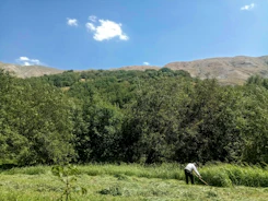 A consultant reviewing environmental data outdoors with greenery around