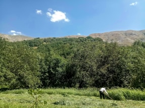 A person is working in a green field, surrounded by dense trees and hills in the background. The sky is clear with a few scattered clouds, and the overall landscape appears lush and serene.
