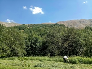 Environmental consultant examining soil samples in a green field.