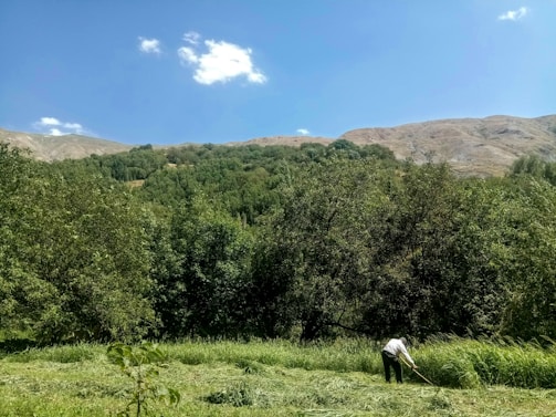 A person is working in a green field, surrounded by dense trees and hills in the background. The sky is clear with a few scattered clouds, and the overall landscape appears lush and serene.