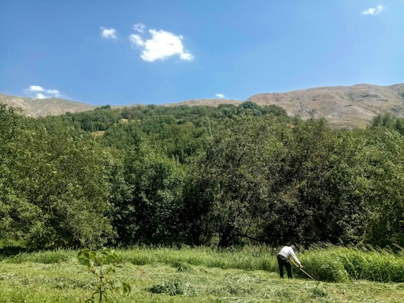 A skilled technician working on outdoor landscaping with tools and greenery around.