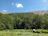 A professional surveyor using advanced equipment in a lush green field under clear skies.