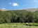 A professional surveyor using advanced equipment in a lush green field under clear skies.