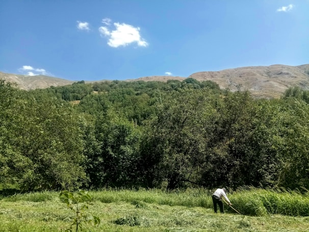 A professional environmental consultant reviewing documents outdoors with a backdrop of lush forest.