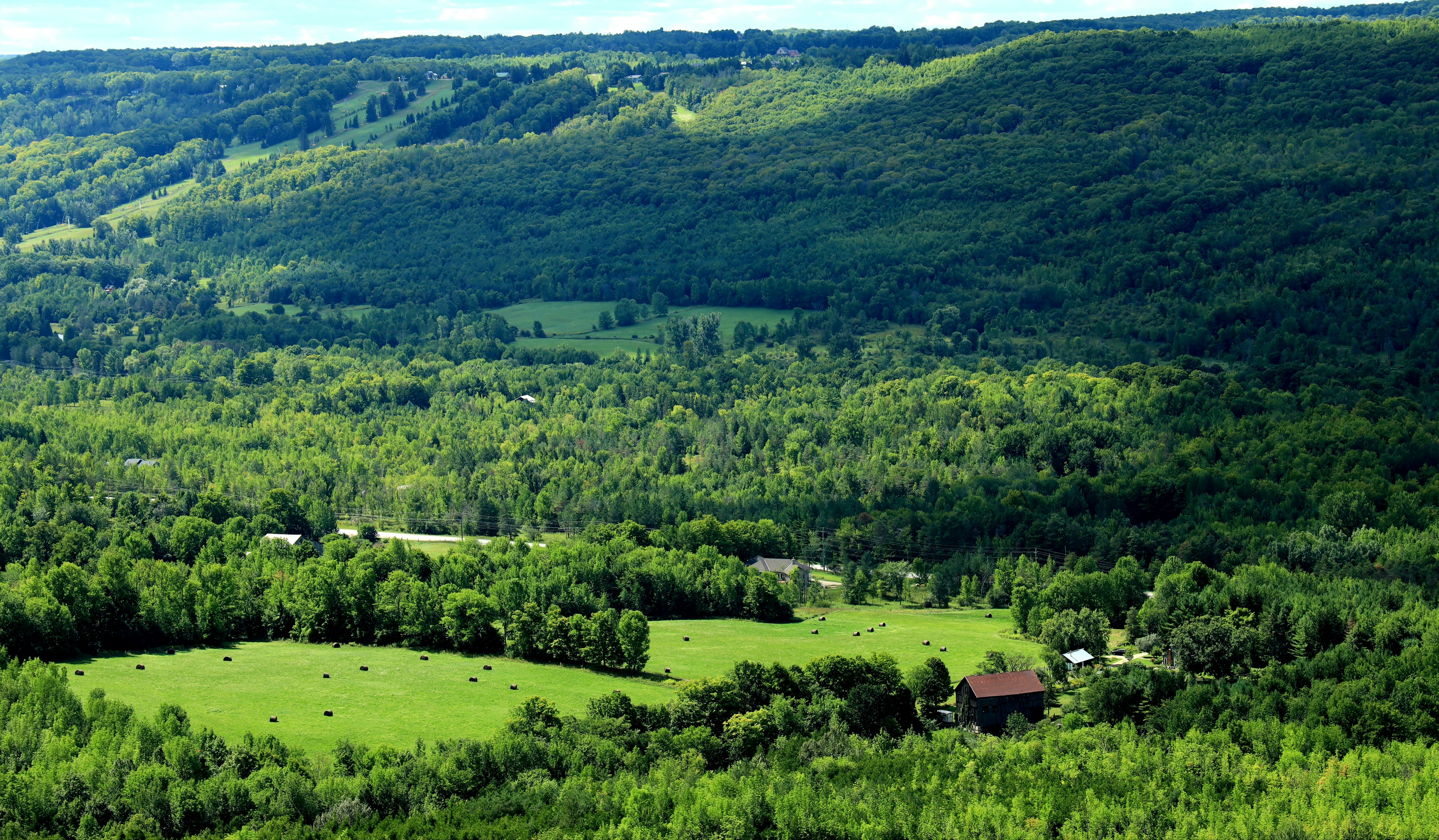 Photo by richardworks