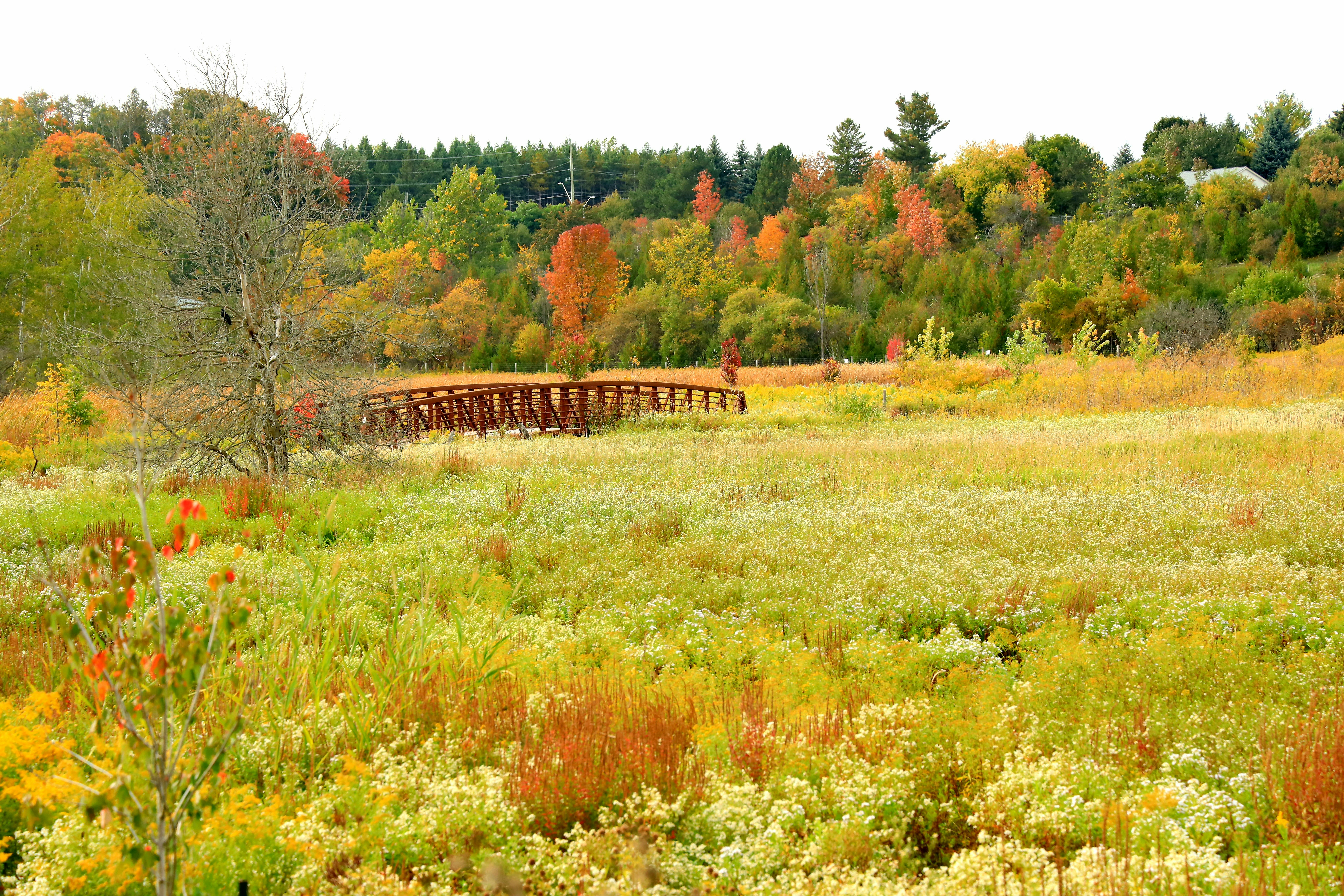 Photo by richardworks