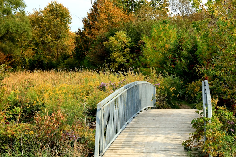 brown wooden bridge over green grass field during daytime