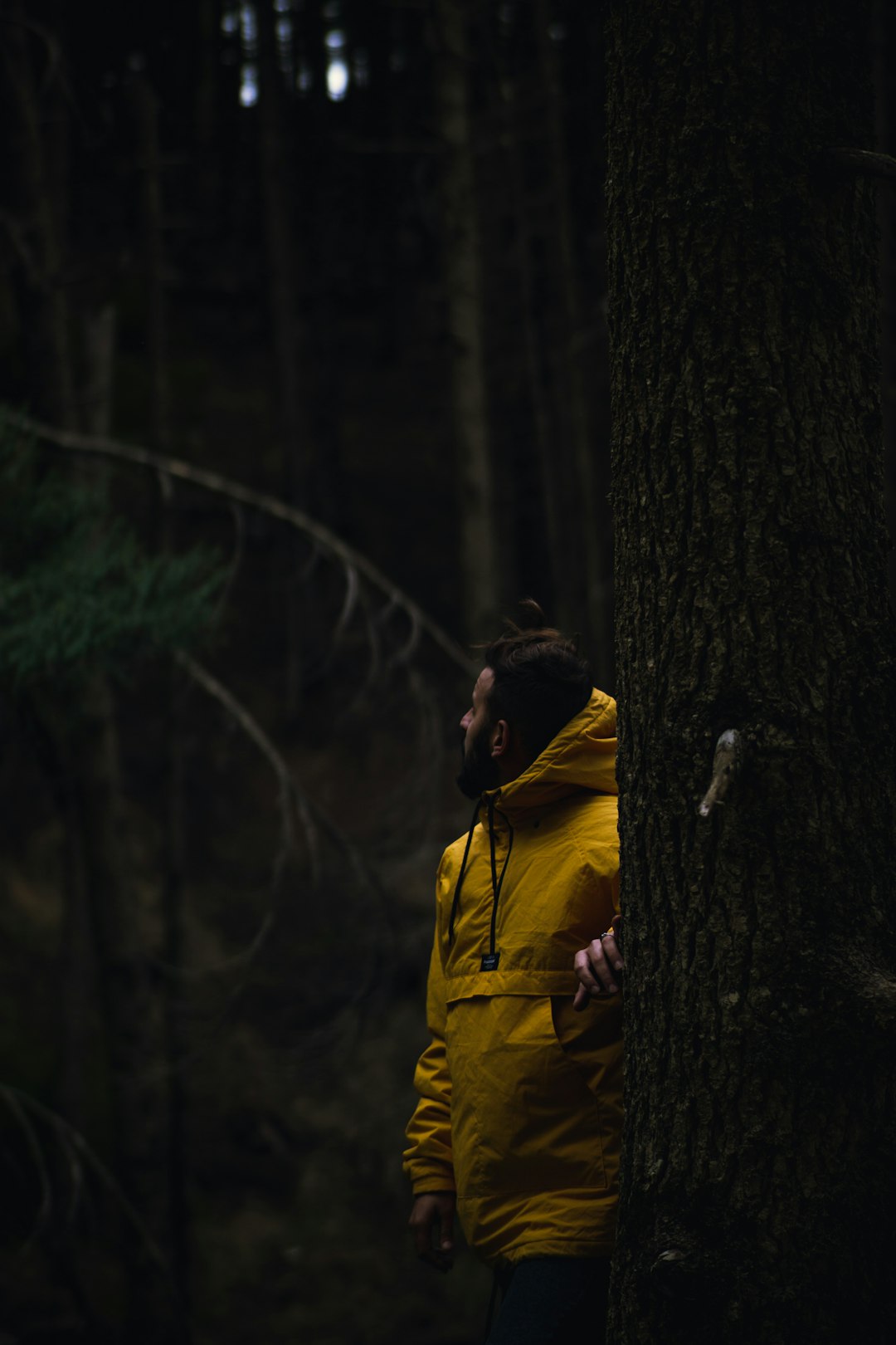 man in yellow jacket standing beside tree